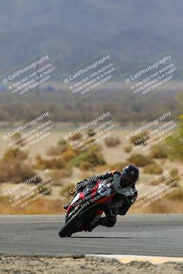 media/Apr-10-2022-SoCal Trackdays (Sun) [[f104b12566]]/Turn 5 Tree of Life (1040am)/